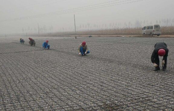 ������ŵĻ��A(ch��)���O(sh��)