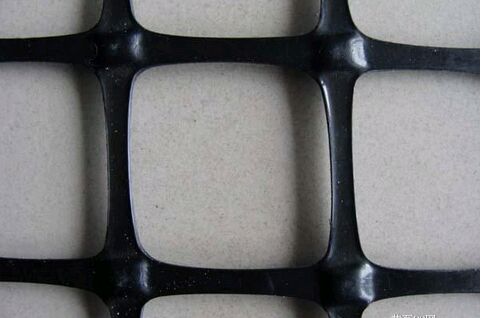 ·�����w�������